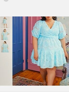 Eloquii Pale Blue Floral Appliqué Dress